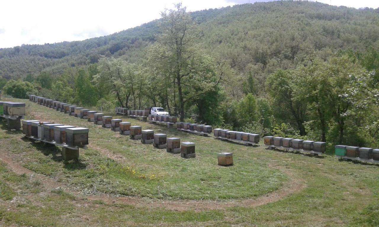 Apimonte Casa Do Pascoal - Pn Montesinho Villa Bragança Екстериор снимка