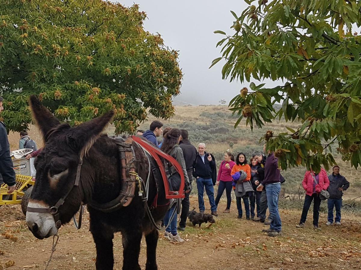 Apimonte Casa Do Pascoal - Pn Montesinho Villa Bragança Екстериор снимка