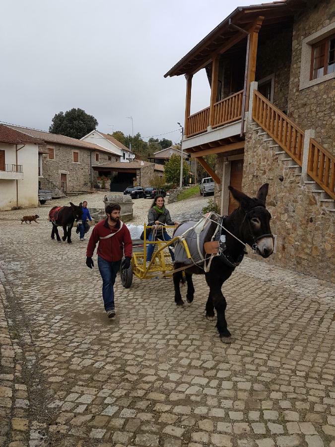 Apimonte Casa Do Pascoal - Pn Montesinho Villa Bragança Екстериор снимка